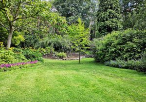 Optimiser l'expérience du jardin à Montdidier